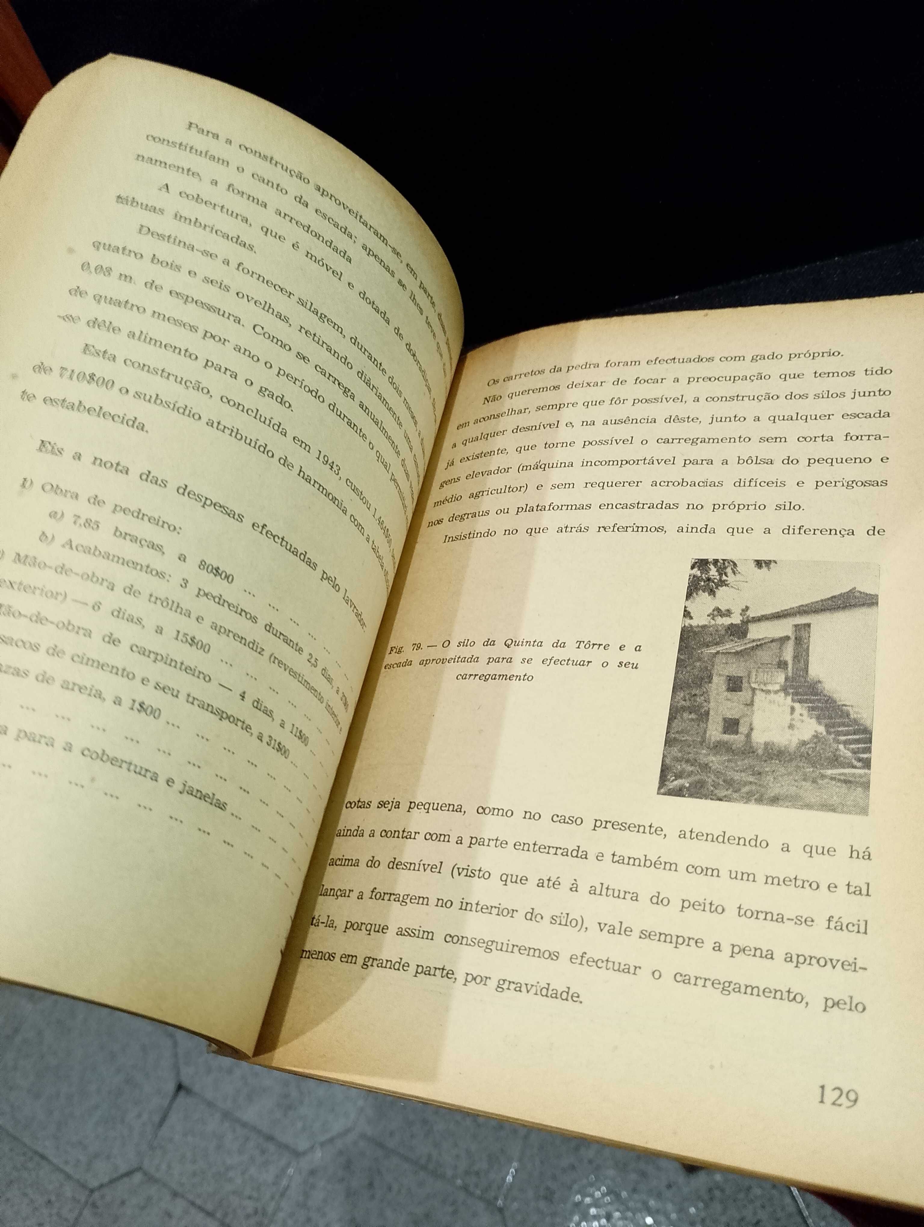 O Silo 1945 Engº, Botelho de Macedo