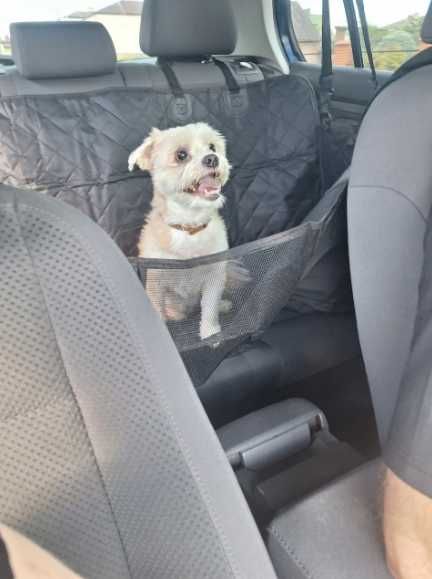 Накидка чохол на заднє сидіння авто для перевезення тварин автогамак