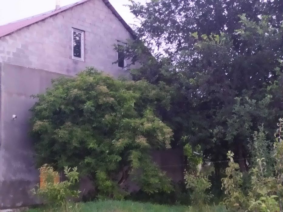 Продам  дом в Коростышевском р-не.