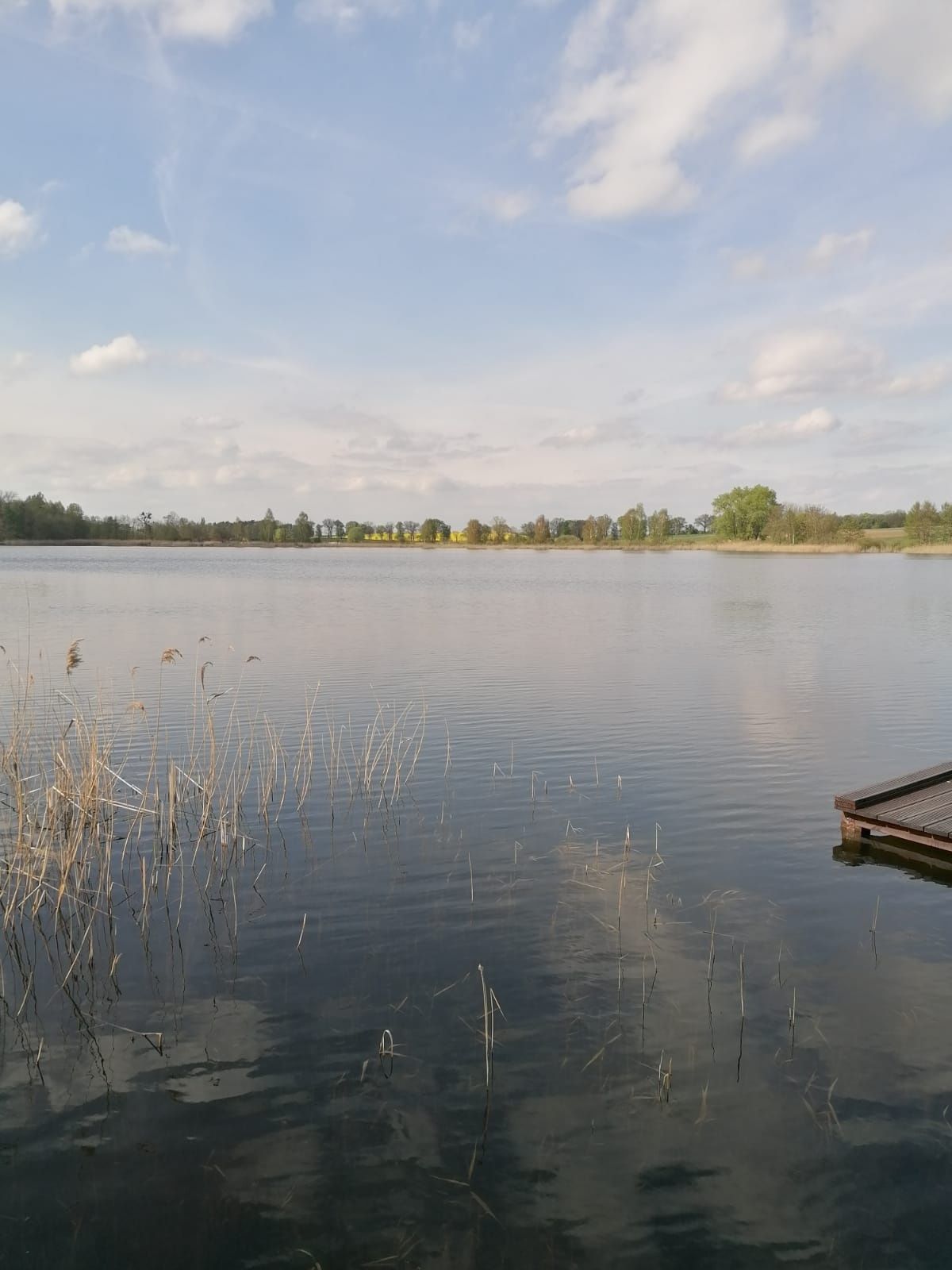 Działka rekreacyjna nad jeziorem