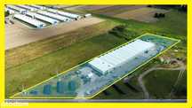 Na wynajem działająca pieczarkarnia Siedlce, 3800m2 produkcji