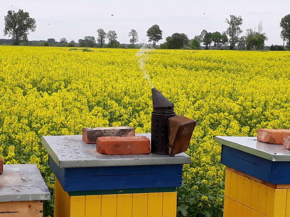 Zastaw miodów z własnej pasieki