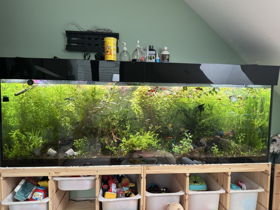 Akwarium 184x60x43 front opti