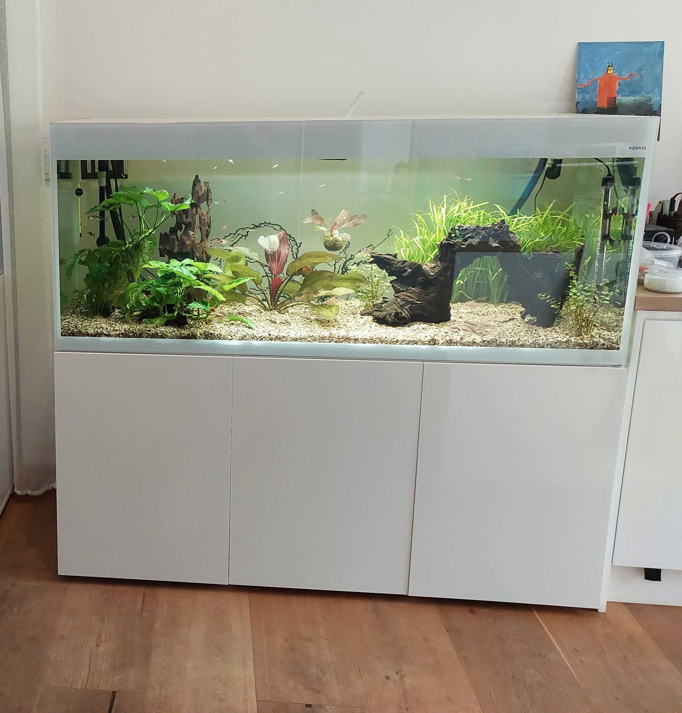 Akwarium Aquael Opti Set 240 l biały + szafka + 2 x LED Day & Night