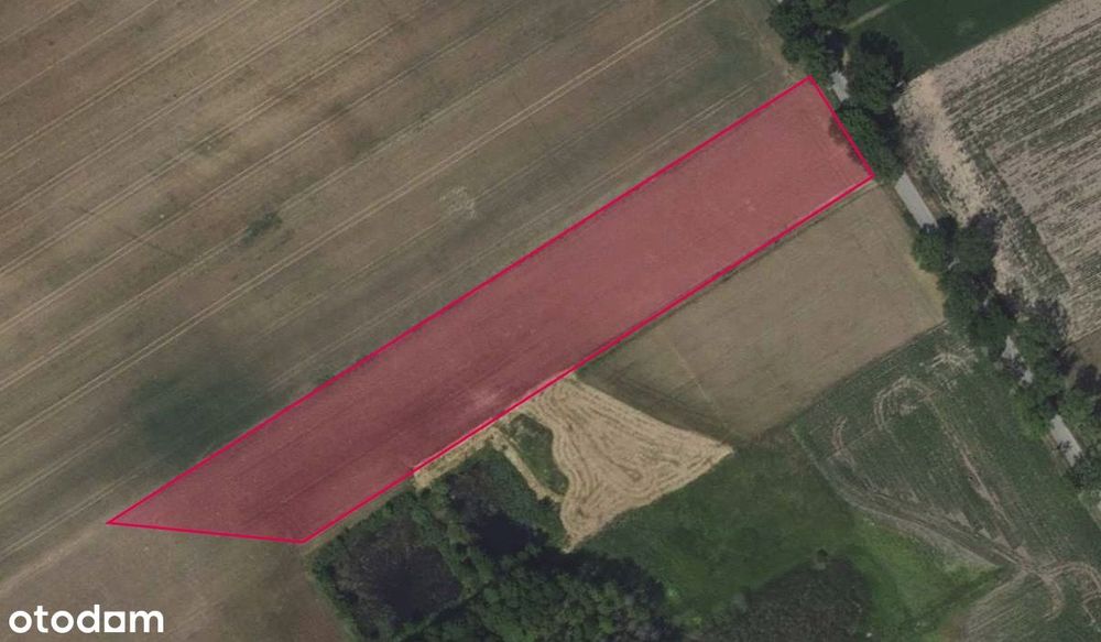 Działka 57 w Zaborowie Starym