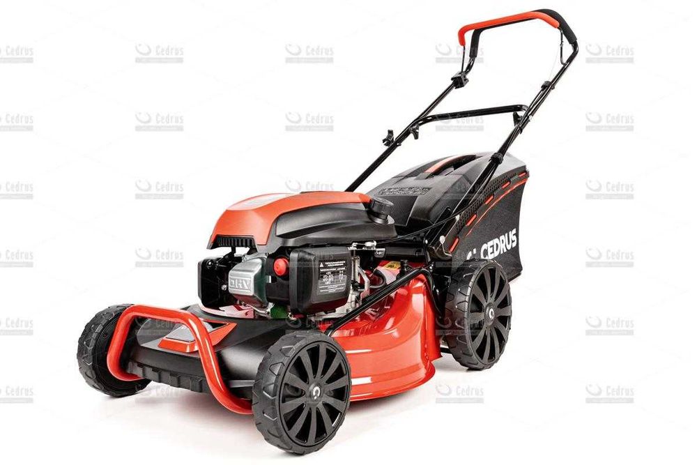 Kosiarka spalinowa Cedrus KS48 bez napędu 3 w 1