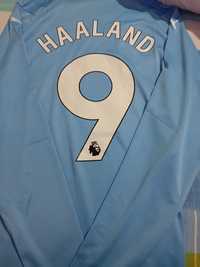 Sweet Manchester city haaland 9