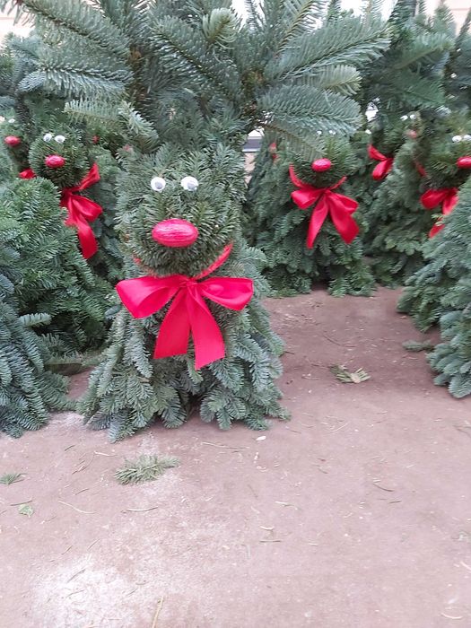 Nobilis renifery wianki choinki