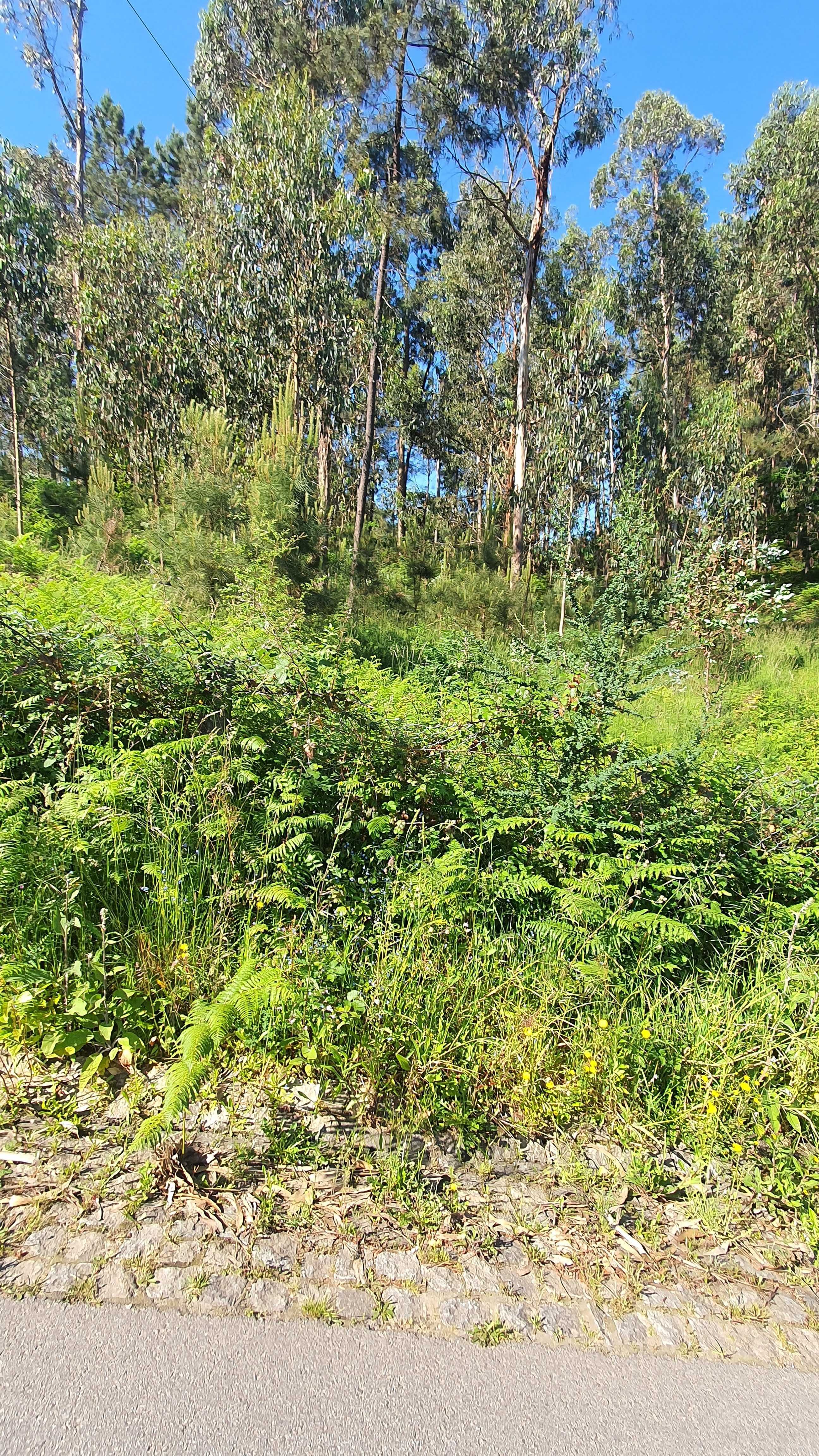 Terreno  para construção, com 2096 m2, em Telões - Amarante