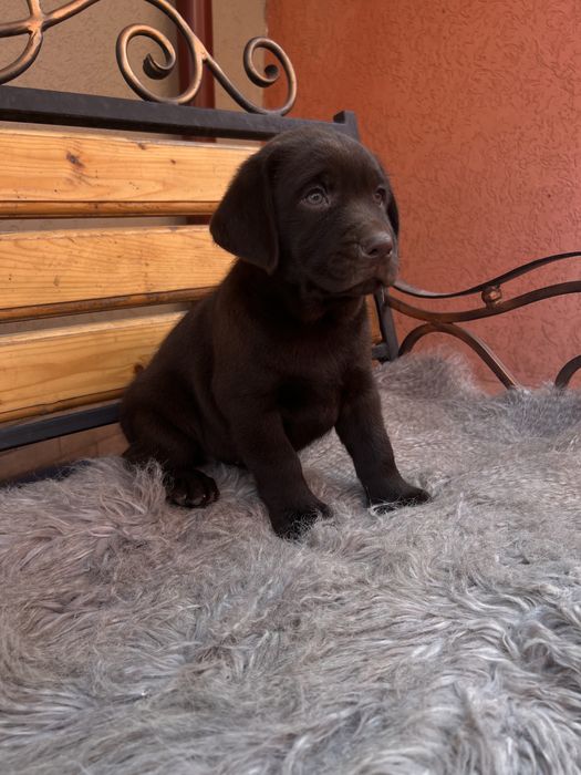 Найкращий хлопець