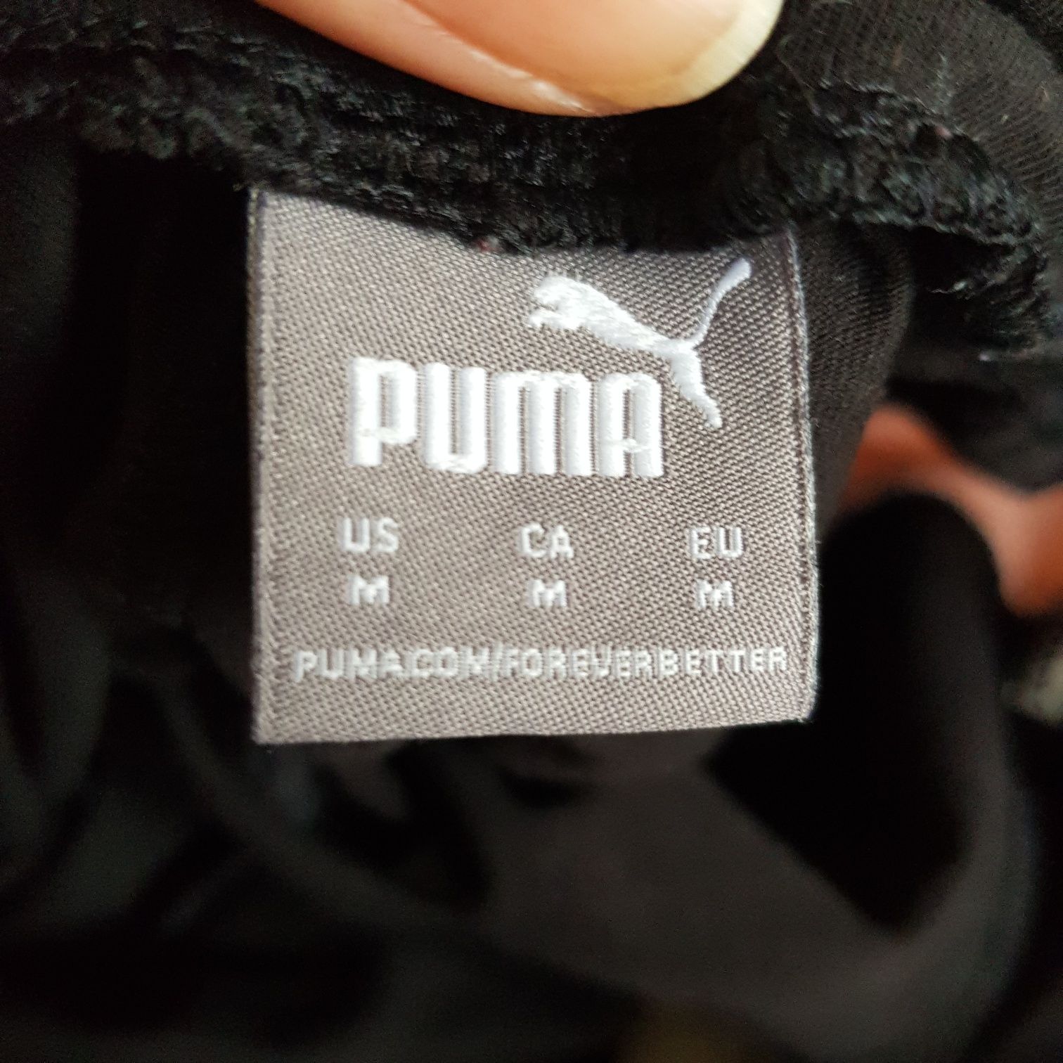 Dres sportowy puma m