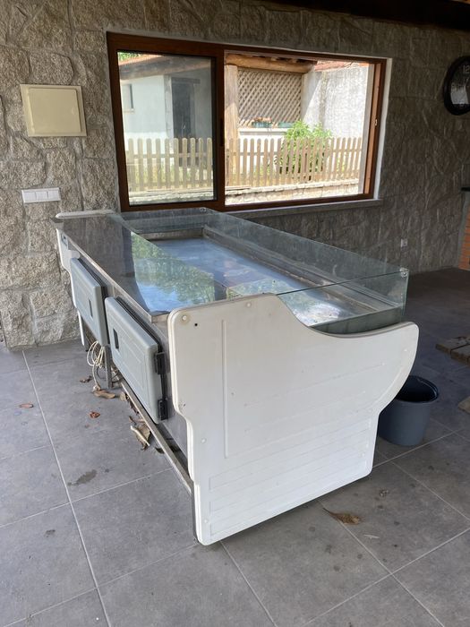 Vitrine frio peixaria
