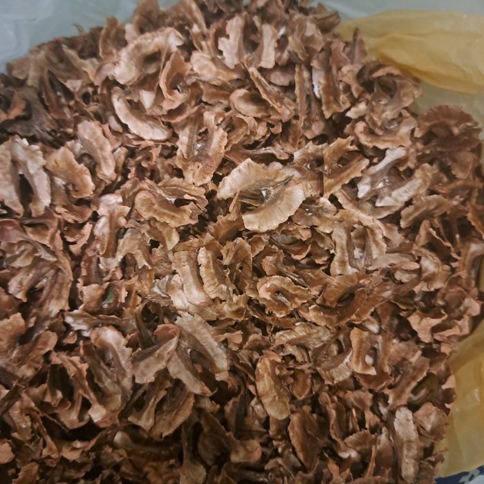 Перегородки грецького горіха, перепонки