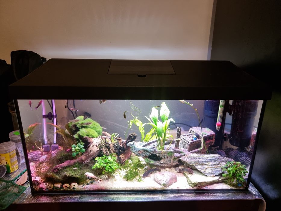 Akwarium 54l 60x30x30 Aquael zestaw + gratisy