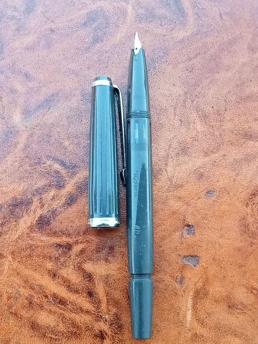 Reform caneta tinteiro