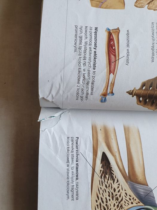 Biologia na czasie 3
