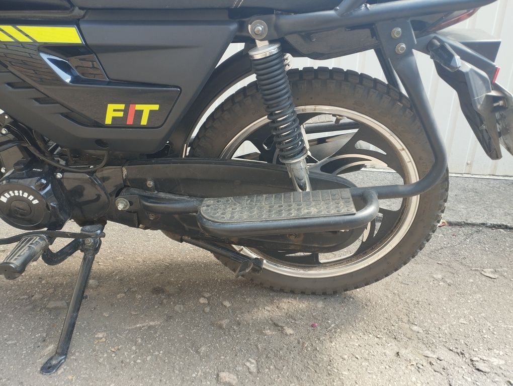 Продам мустанг фит 2