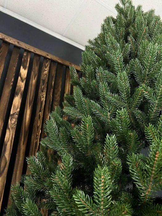 Ялинка Лита "Віденська" Елітна Зелена розмір 1.8м