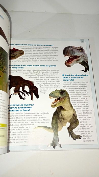 O Grande livro dos 555 recordes