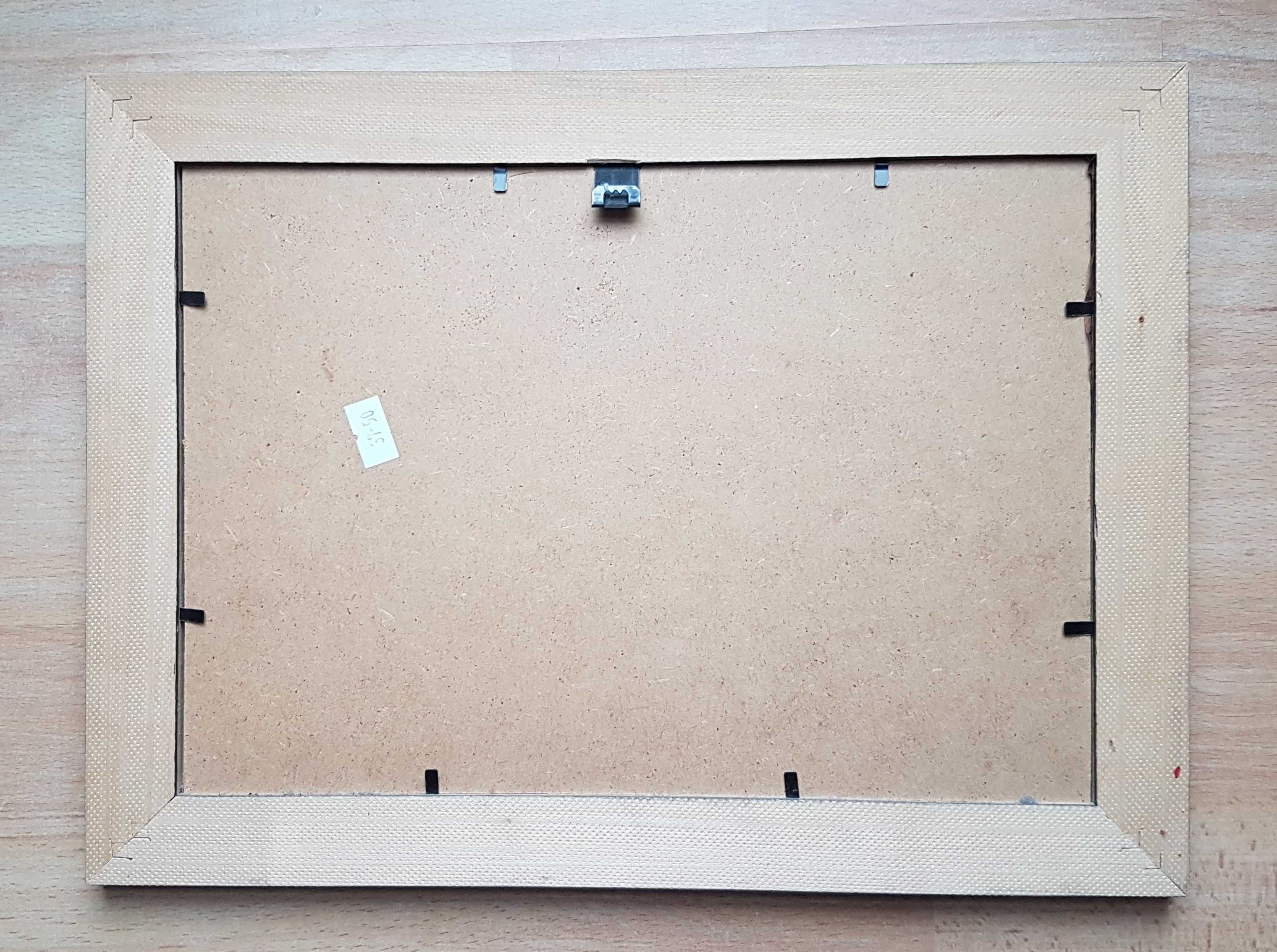 Grawer na papierze w ramce 36x27cm.