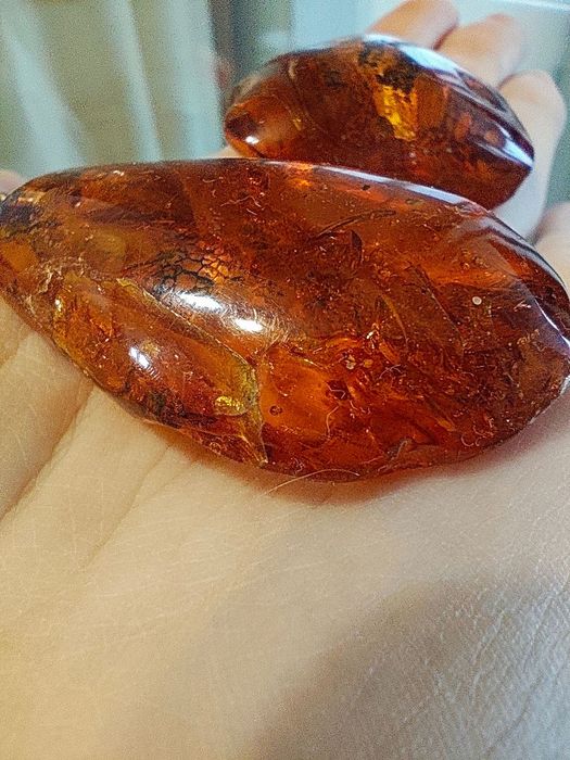 Натуральний бурштин з Канади, 1988 рік