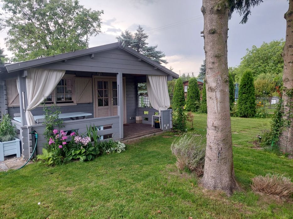 Działka ROD Zlote Piaski Siedlce