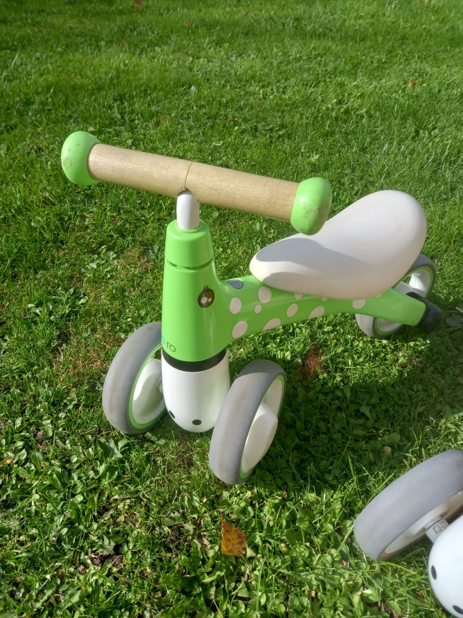 Rowerek Eco Toys