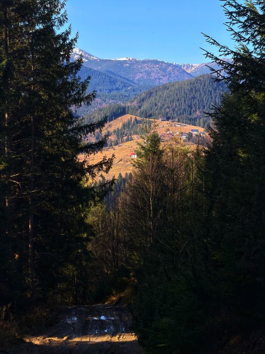 Земельна ділянка в Дземброні