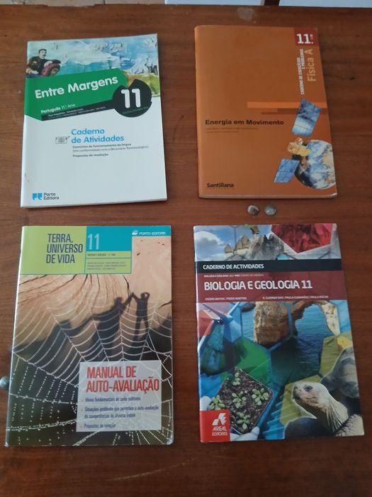 Caderno de Atividades 10. 11. 12. Anos