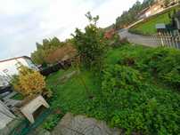 Limpeza e manutenção de jardins