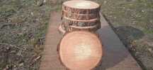 Plastry drewna, 20sztuk, 20-25 cm, dekoracje, na stroiki