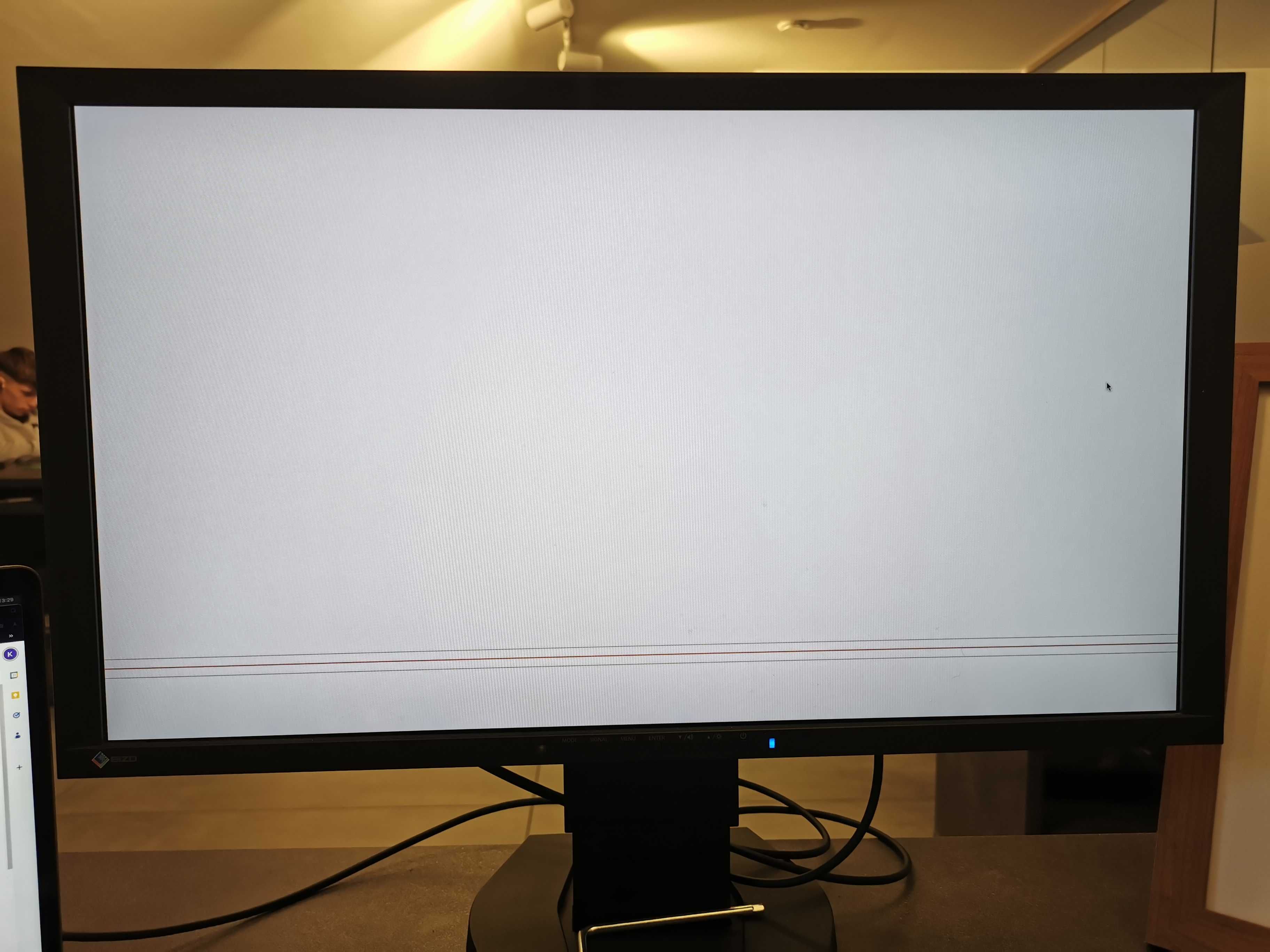 Monitor Gamingowy Eizo Foris FG2421PL 120Hz