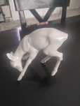 Sarna porcelanowa