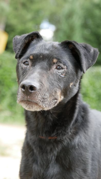 Kuba prosi o dom na ostatnie lata swojego życia.