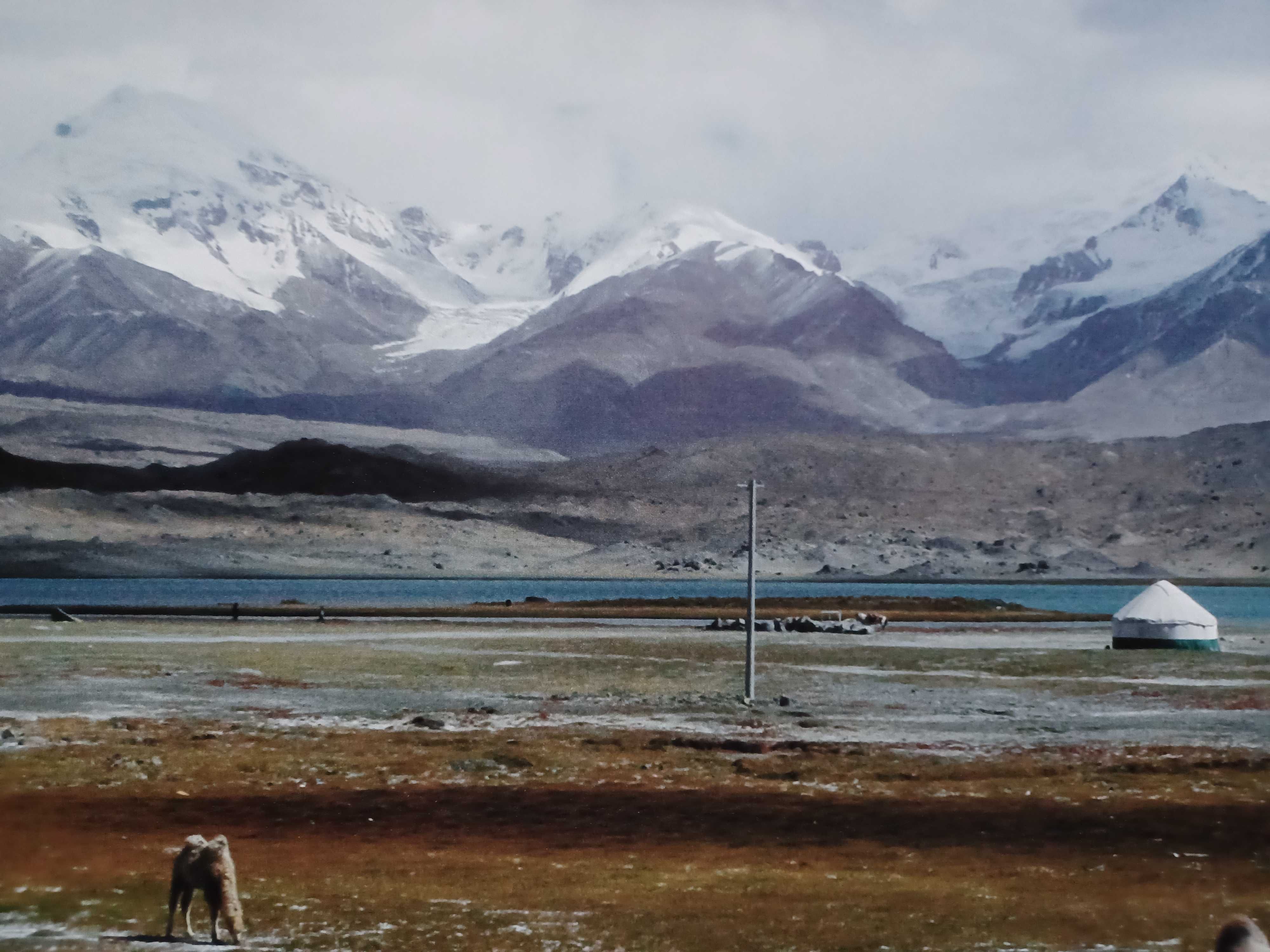 Plakat 40x60 góry jezioro wielbłądy wielbłąd jurta krajobraz Chiny