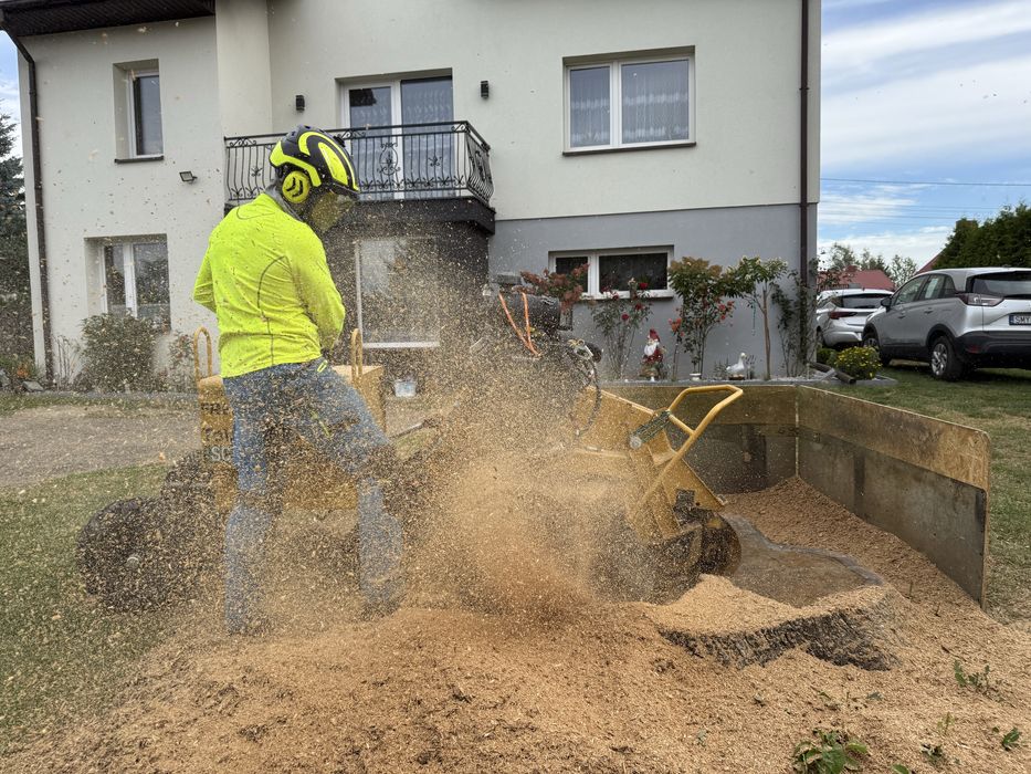 Frezowanie usuwanie pni korzeni karp usługa frezarką wycinka rębak