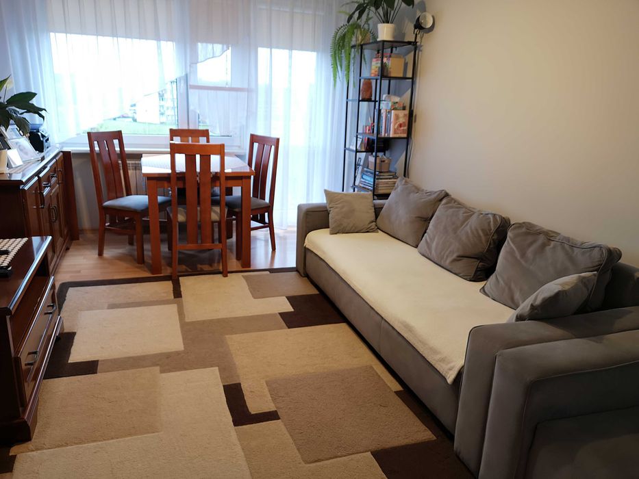 Mieszkanie 39 m2, 2 pokoje + balkon, do wynajęcia od grudnia
