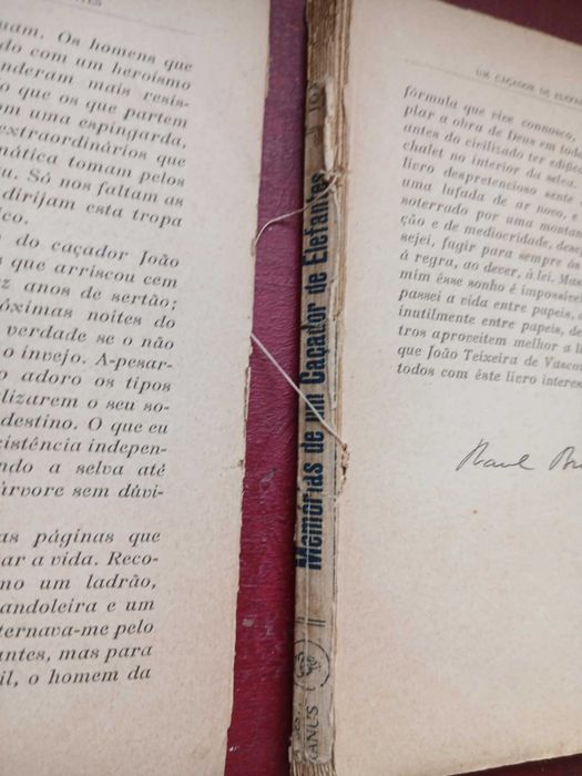 João Teixeira de Vasconcelos, Memórias de um Caçador de Elefantes