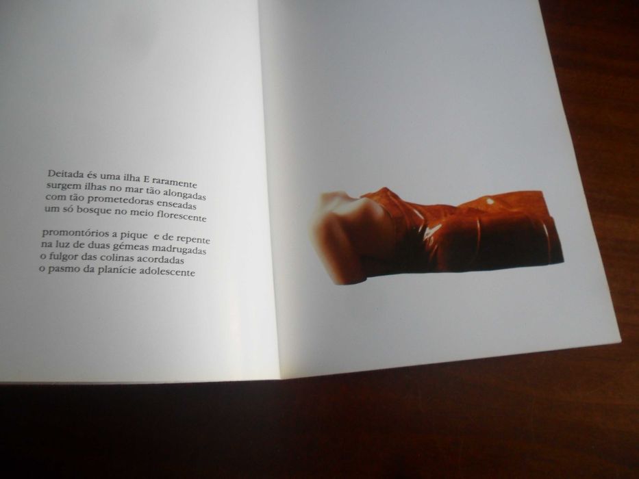 "Francisco Simões, Esculturas e David Mourão-Ferreira, Poesias"