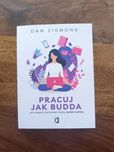 Pracuj jak Budda. Jak osiągnąć równowagę między życiem a pracą - Dan Z