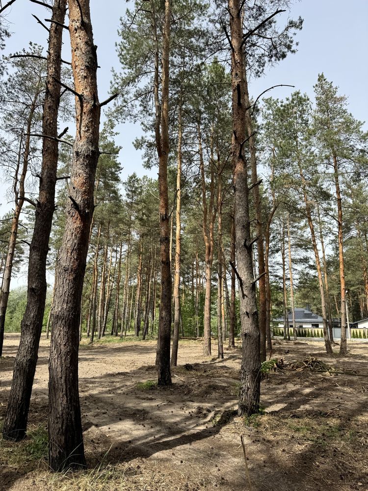 Дом 105 м2 Песчанка. Новая улица, сосны на участке.