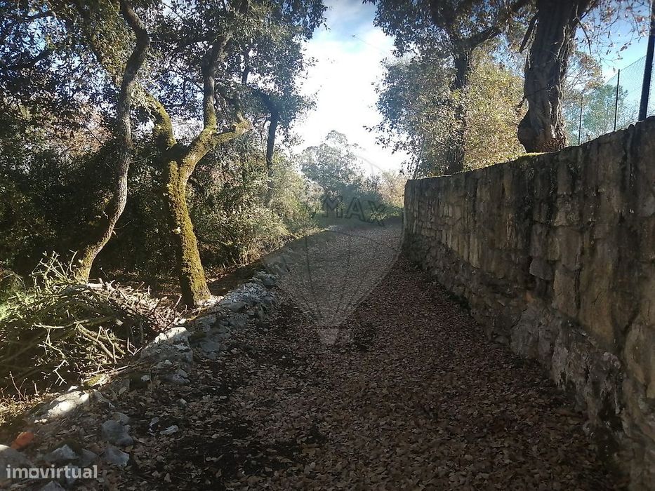 Terreno  para venda