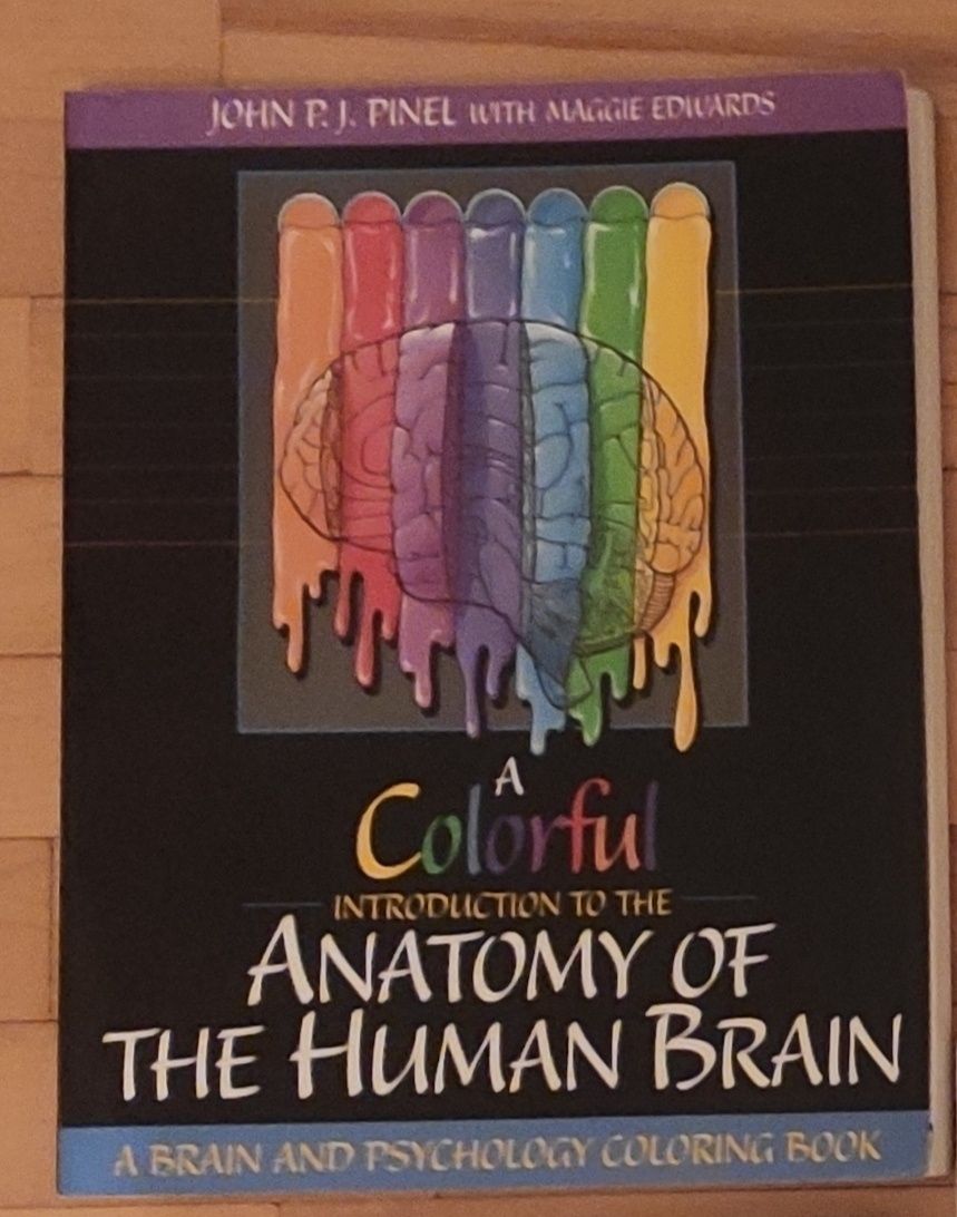 Colorful Introduction to the Anatomy of Human Brain kolorowanka