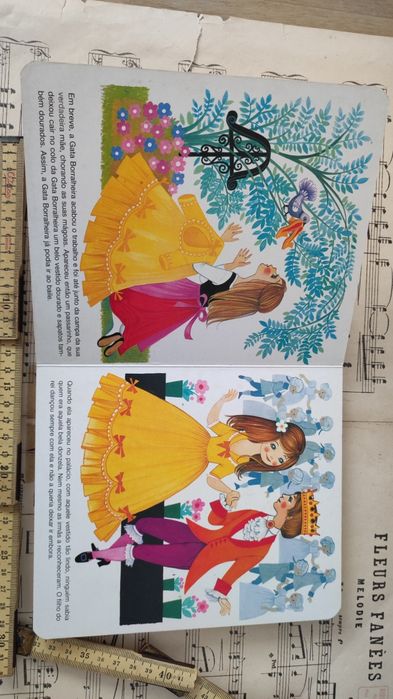 Livro A Gata Borralheira Antigo