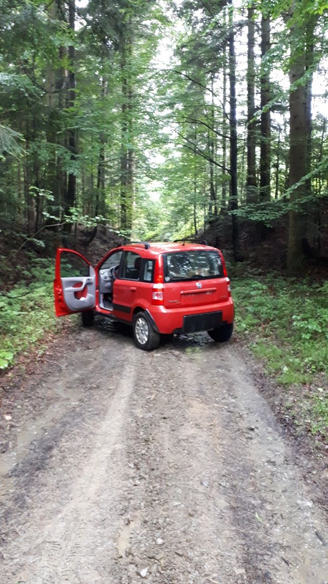 Panda 4x4 1.2 Benz climbing