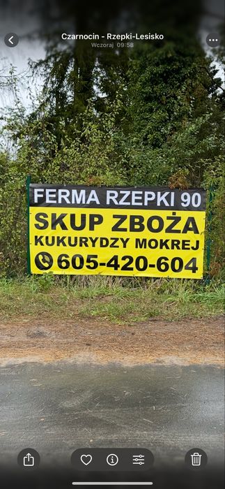 Skup kukurydzy mokrej