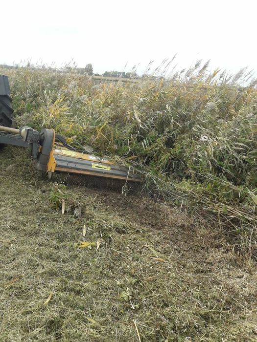 Koszenie nieuzytkow,koszenie farm fotowoltaicznych,koszenie rowów