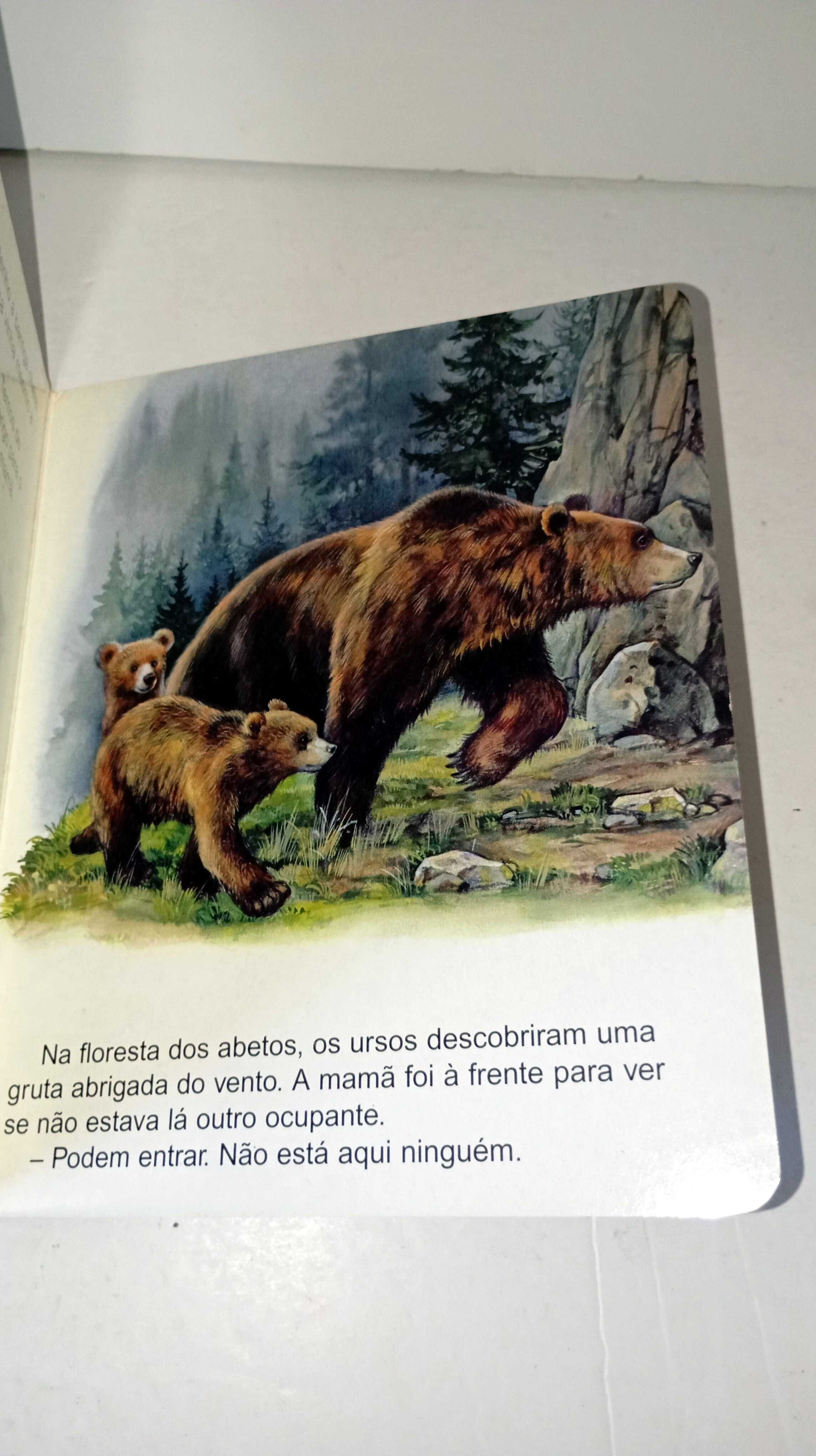 O Passeio do Ursinho