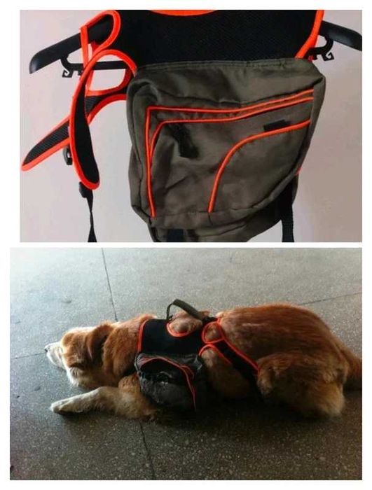 plecak dla psa Karlie XL