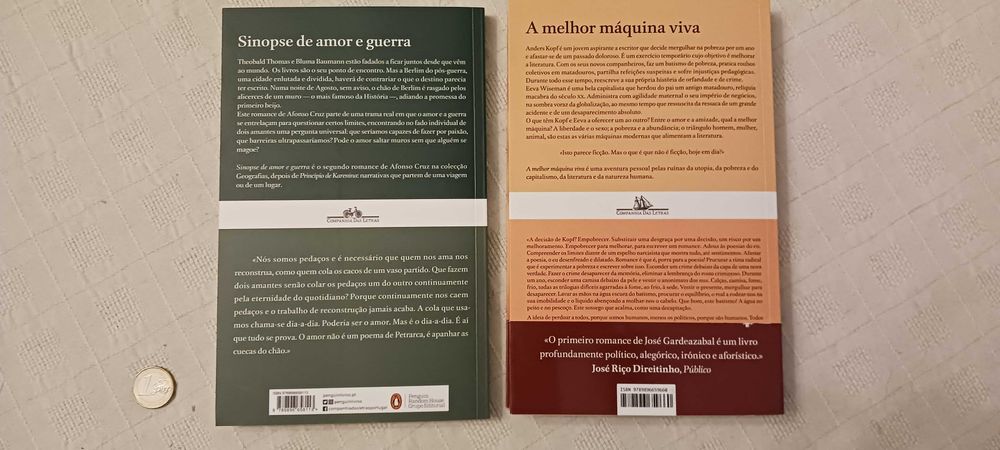 Afonso Cruz, Sinopse -e- José Gardeazabal, A melhor máquina viva